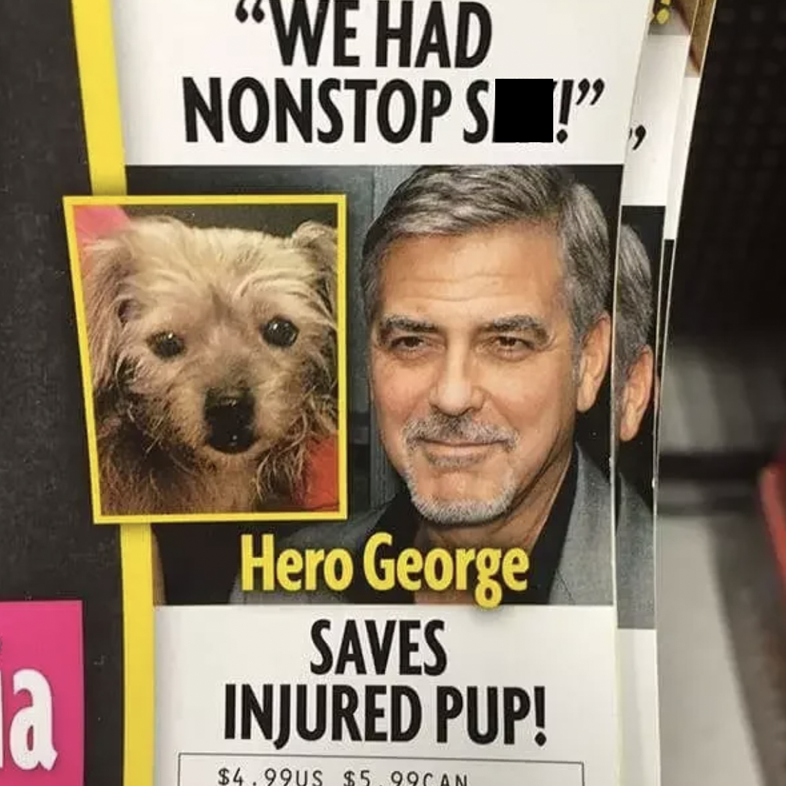 funny news fails - "We Had Nonstop S!", a Hero George Saves Injured Pup! $4.99US $5.99CAN